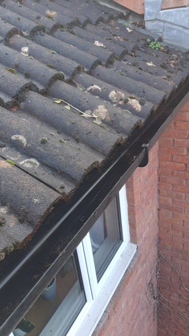 Close-up of a roof with old tiles and a gutter, beside a brick wall and window.