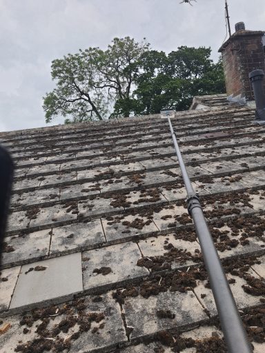 View of a sloped roof covered in debris, with trees and sky in the background.