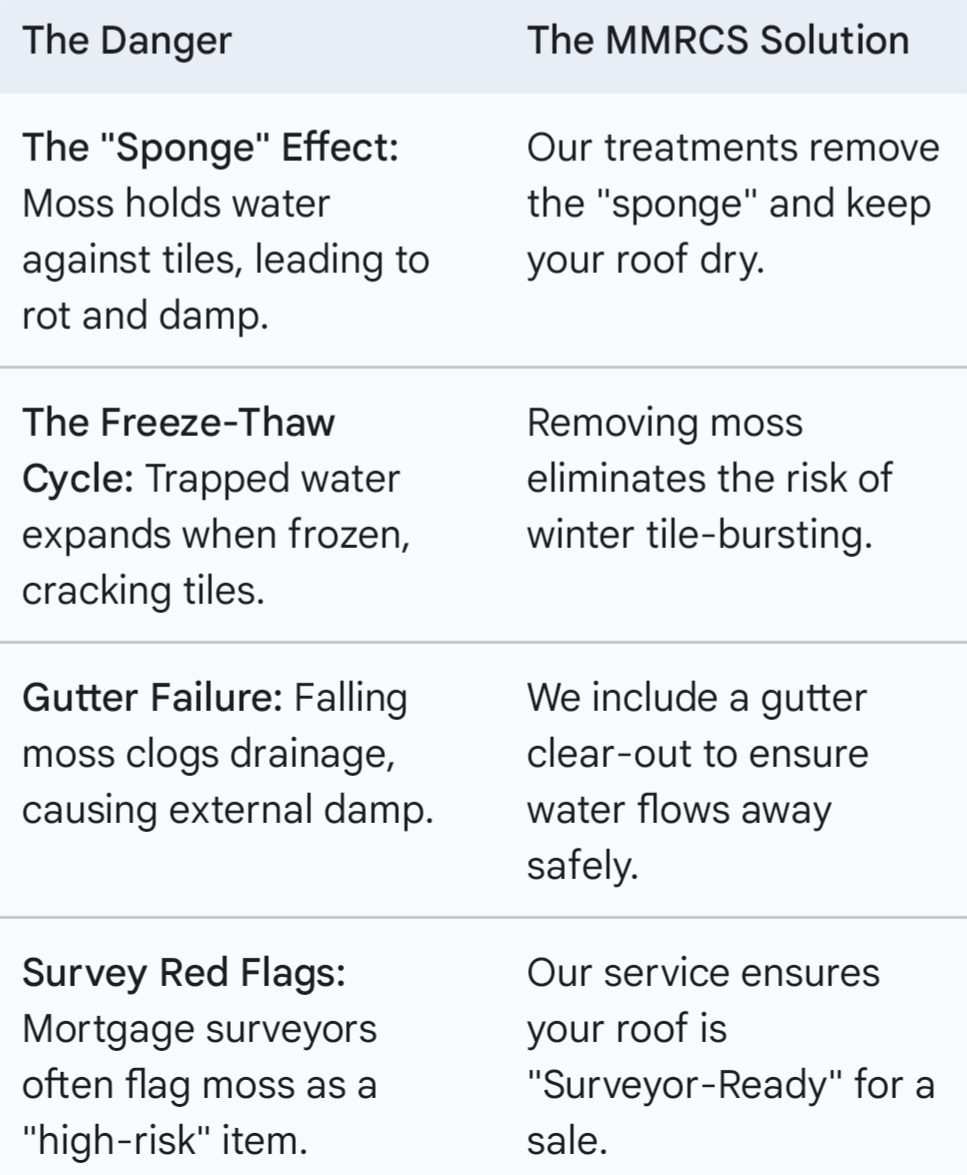 Comparison of roofing dangers and solutions, focusing on moss and drainage issues.