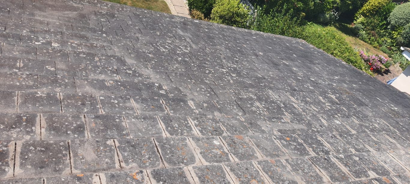 Moss Removal Close-up of a textured grey stone surface with green trees in the background.