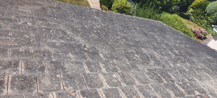 Close-up of a textured grey stone surface with green trees in the background.