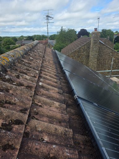 Bird proofing in Yeovil Solar panel mesh