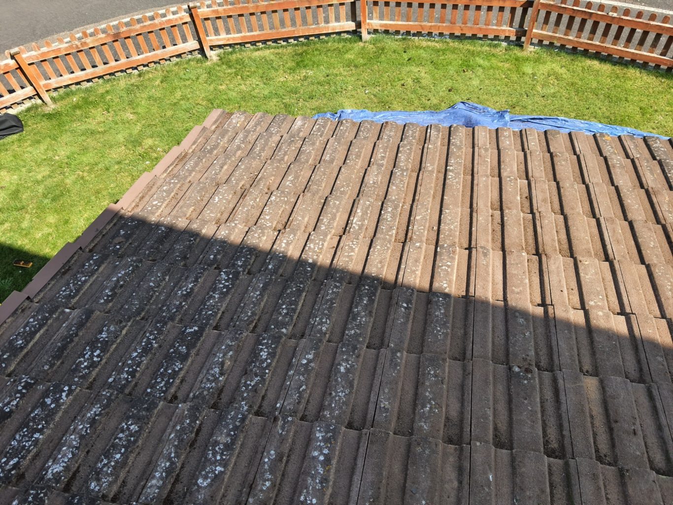 Moss Removal View of a sloped roof with alternating shaded and sunlit areas, surrounded by grass.
