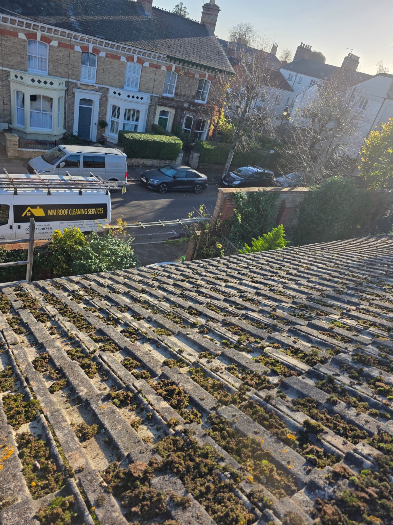 Moss removal in Taunton View from a roof showing a sloped surface covered in moss, with houses and cars below.