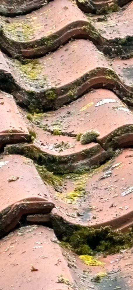 Worn red tile roof with moss in the grooves between the tiles.