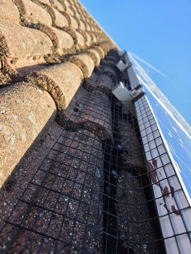 Bird proofing solar panels in Newport Solar Protection