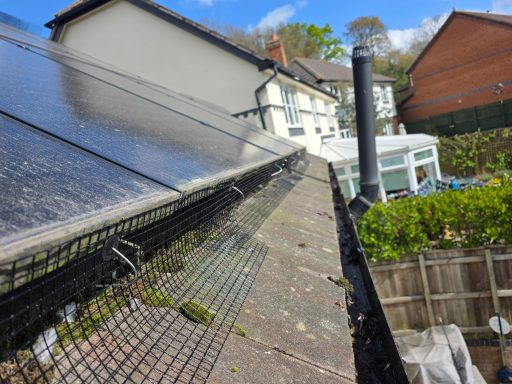 Solar bird proofing in Exmouth Bird protection Exmouth