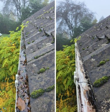 Close-up of a weathered roof showing moss and vegetation growth.