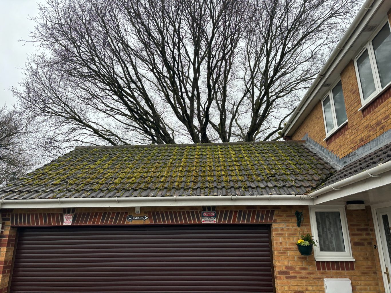 Roof Covered In Moss Before Roof Clean Before
