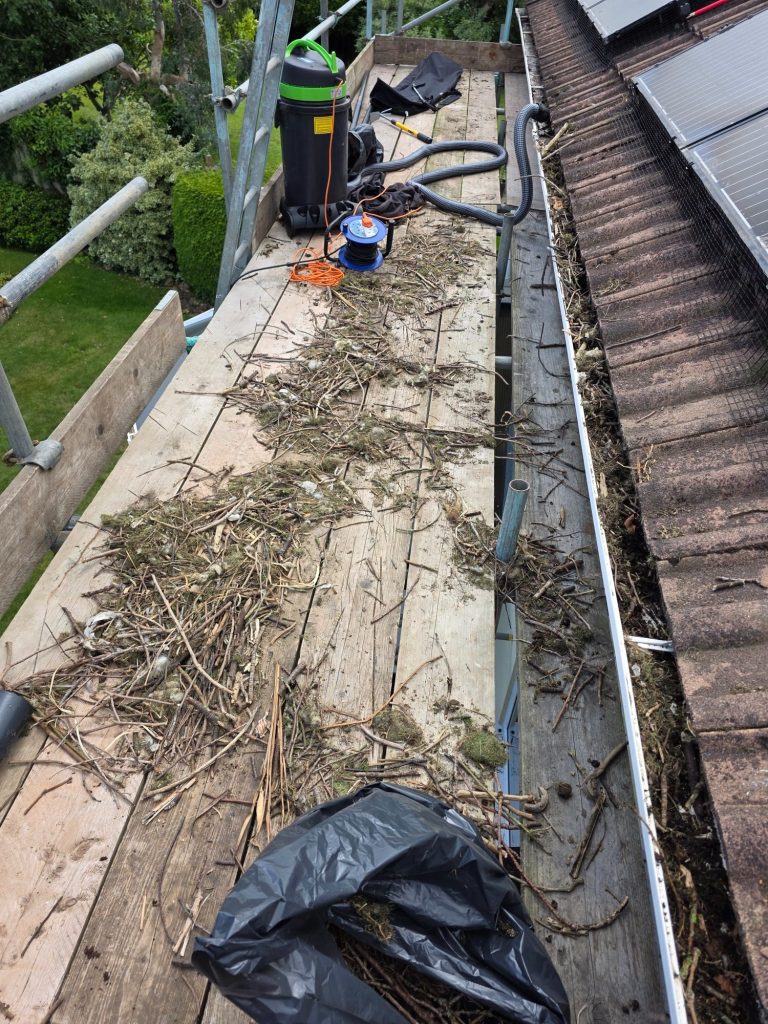 Old Jackdaws nest Debris and twigs on scaffolding, with a vacuum and black bags nearby.