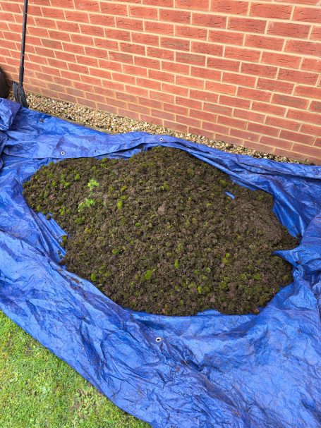 A patch of soil covered by a blue tarpaulin on grass, against a brick wall.