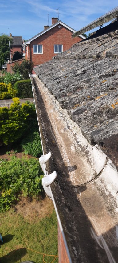 A close-up of a mossy roof edge and guttering, with a garden and houses in the background.