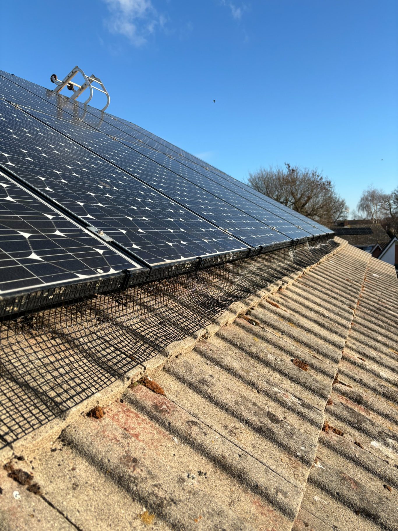 Solar Panel protection in Devon Solar panels installed on a sloped roof under a clear blue sky.