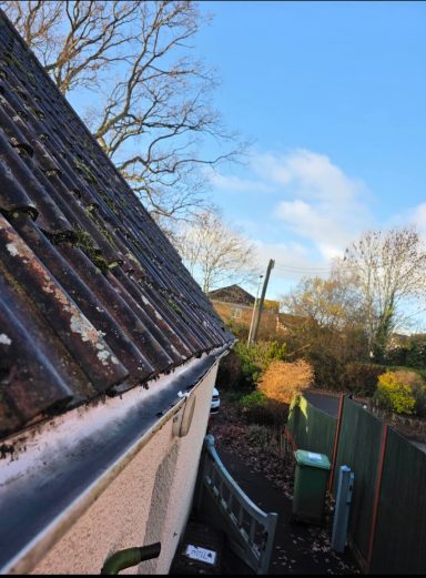 Roofline with moss, trees and a clear blue sky in the background, garden visible below.