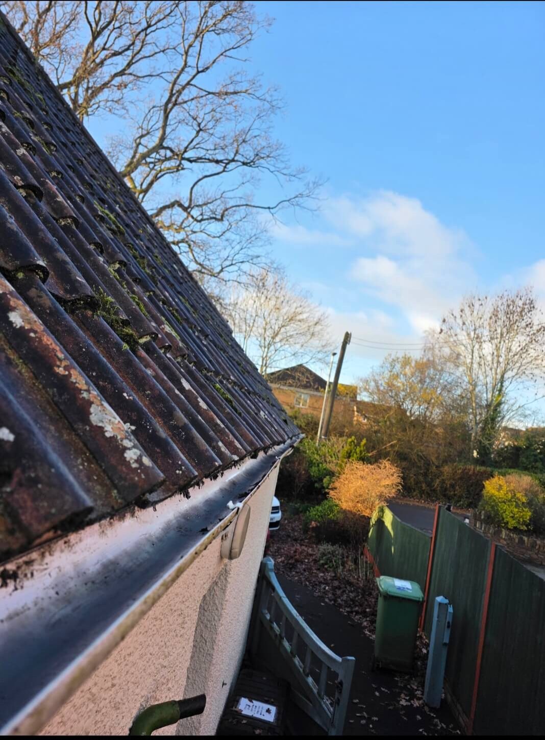 Close-up of a mossy roof with trees and a garden in the background.