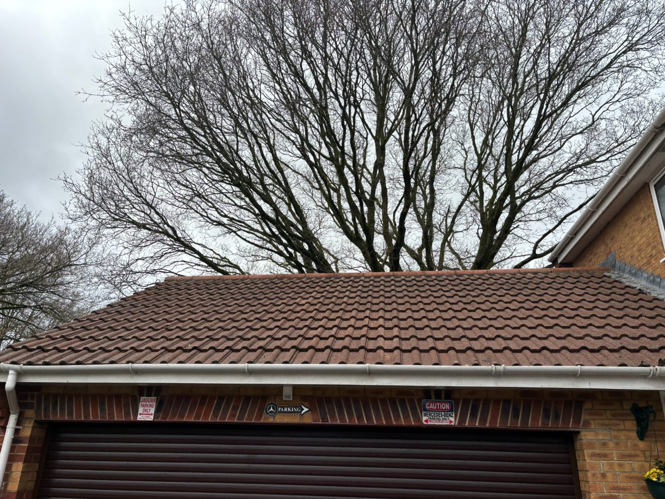 Roof Cleaned Roof Clean After