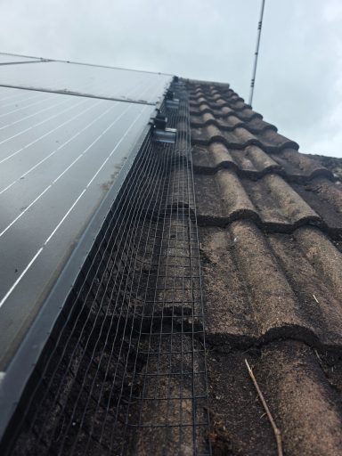 Bird Proofing Yeovil Bird proofing in Yeovil