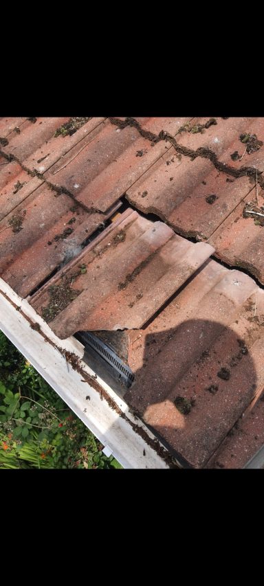Close-up of a damaged roof tile with a shadow on it and green grass in the background.
