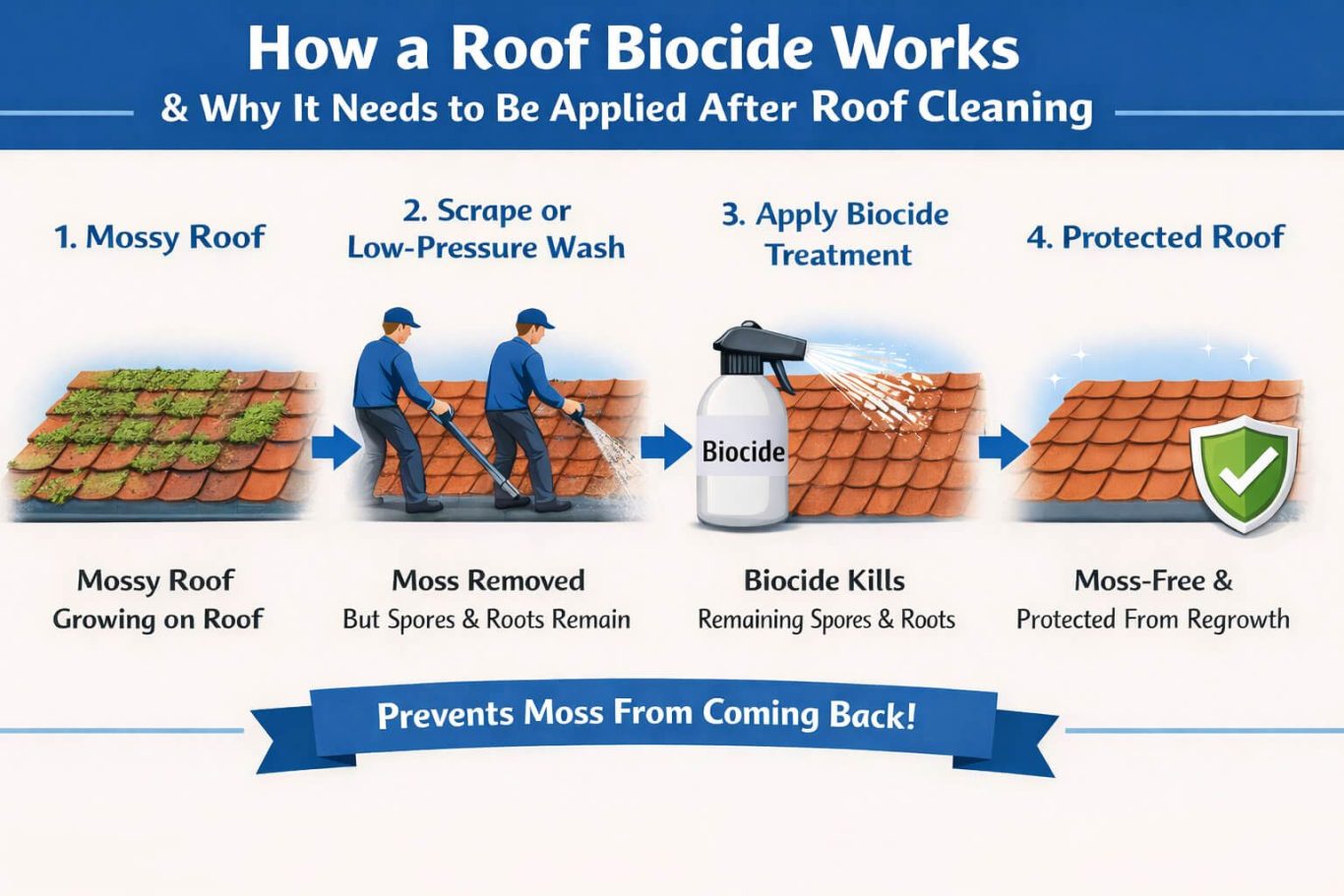 Illustration explaining the steps of roof biocide application post-cleaning.