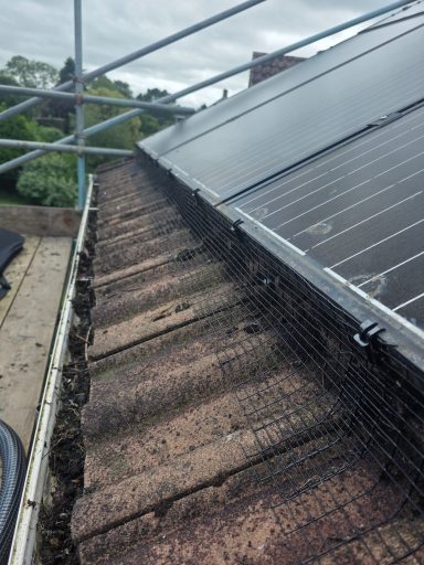 Bird proofing in Yeovil Solar panel mesh