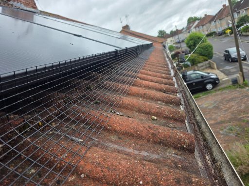 Solar panel Protection In Bristol Rooftop with terracotta tiles, solar panels, and a wire mesh, overlooking a residential area.