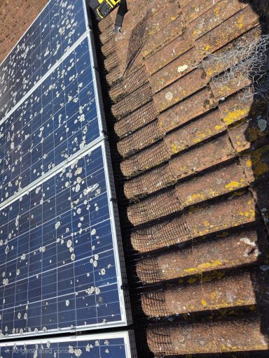 Solar panel bird proofing in Newport Solar panel Protection
