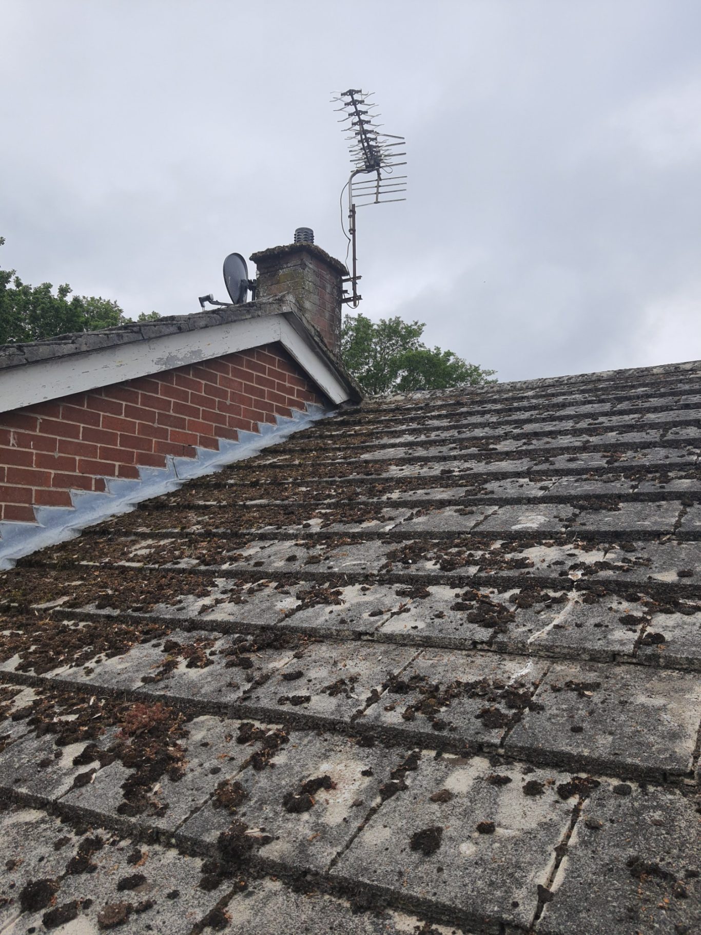 Moss Removal View of a sloped roof with moss and an antenna atop a chimney against a cloudy sky.