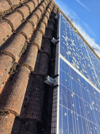 Bird proofing in Newport Bird proofing