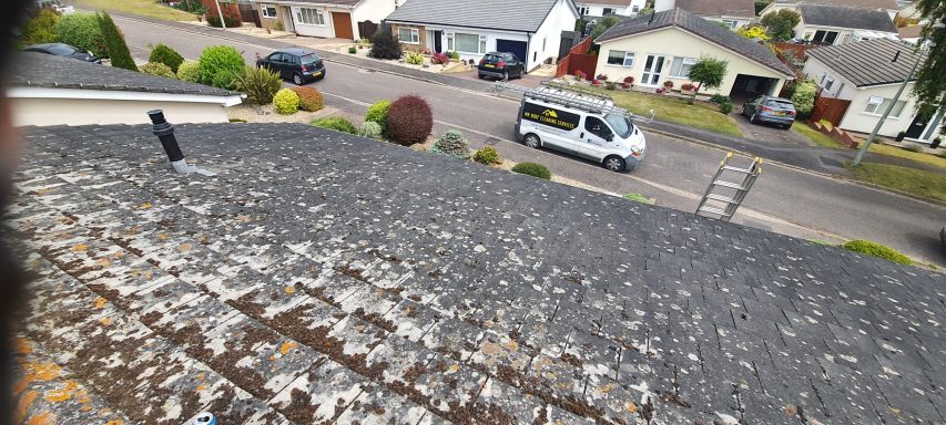 Close-up of a textured roof, with a view of a street and houses in the background.