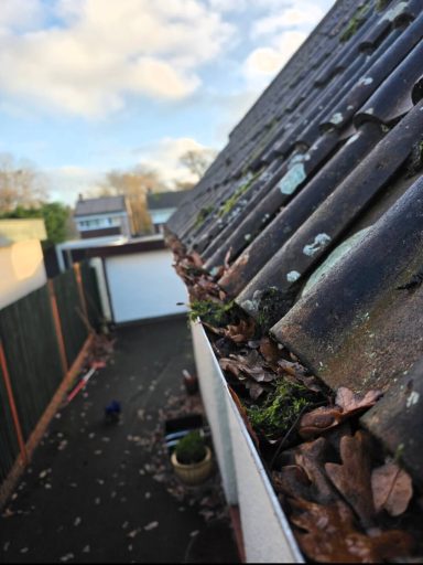 Close-up of a roof gutter filled with leaves, with a cloudy sky in the background.
