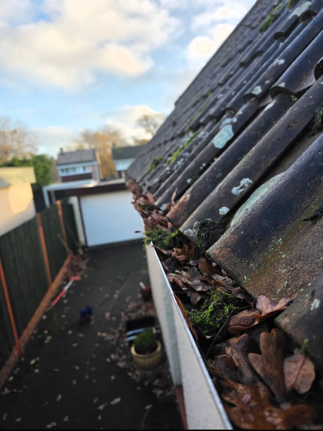 Close-up of a roof with leaves and debris, overlooking a garden and garage.