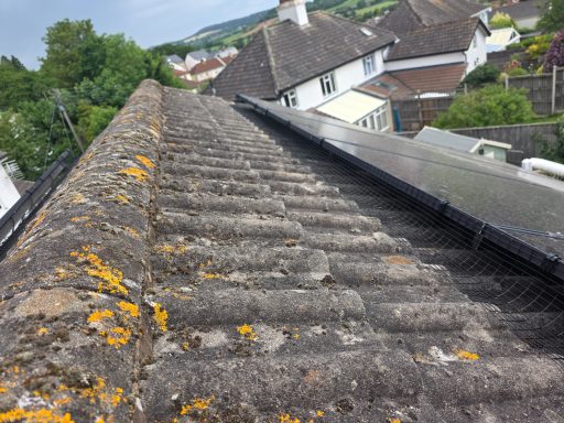 Solar panel Protection In Devon A close-up view of a mossy, textured rooftop with surrounding houses in the background.