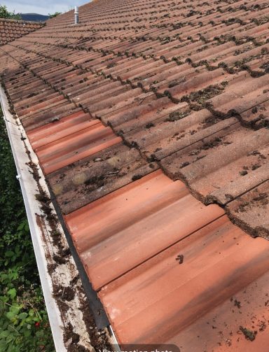 Close-up of a weathered tiled roof with some dirt and greenery visible.